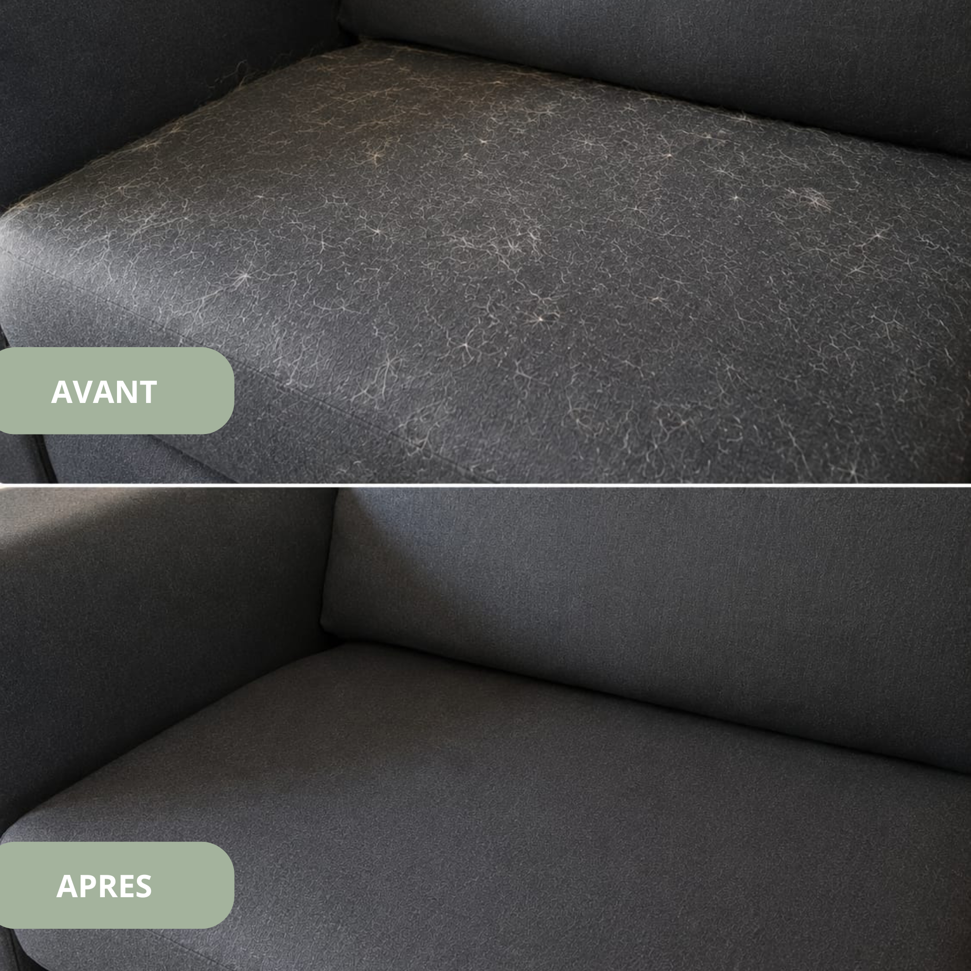 Avant après d'un canapé après utilisation du gant anti poils d'animaux réutilisable Monvelin pour retirer les poils de chat et de chien.